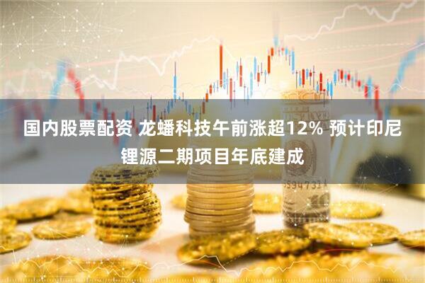 国内股票配资 龙蟠科技午前涨超12% 预计印尼锂源二期项目年底建成