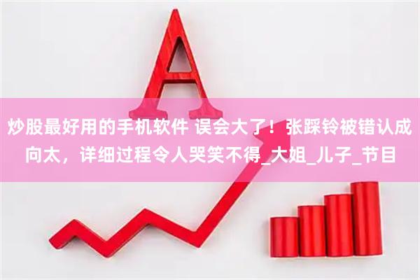 炒股最好用的手机软件 误会大了！张踩铃被错认成向太，详细过程令人哭笑不得_大姐_儿子_节目