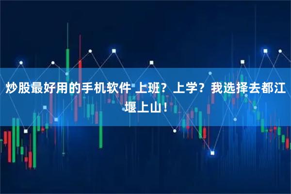 炒股最好用的手机软件 上班？上学？我选择去都江堰上山！