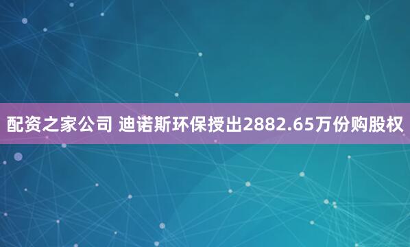 配资之家公司 迪诺斯环保授出2882.65万份购股权