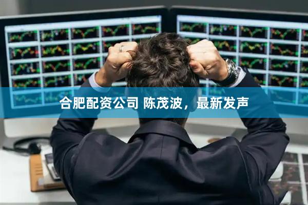 合肥配资公司 陈茂波，最新发声